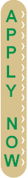 rv loans